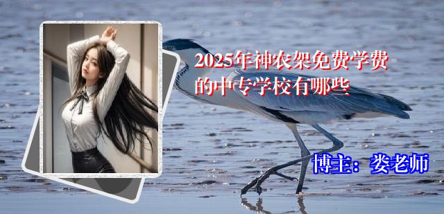 2025年神农架免费学费的中专学校有哪些