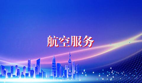 航空服务