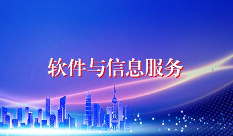 软件与信息服务