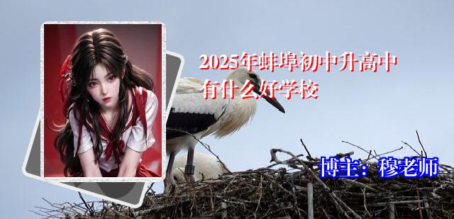 2025年蚌埠初中升高中有什么好学校