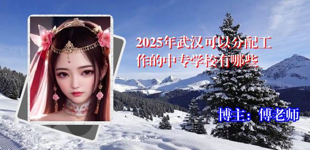 2025年武汉可以分配工作的中专学校有哪些