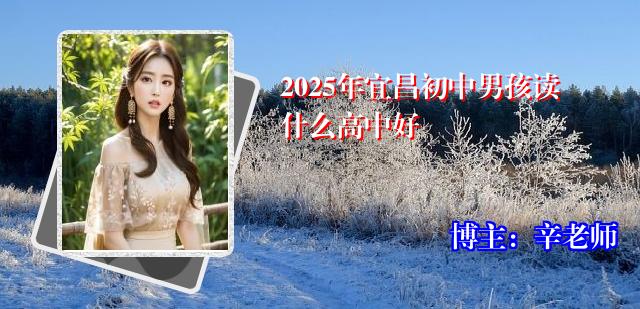 2025年宜昌初中男孩读什么高中好