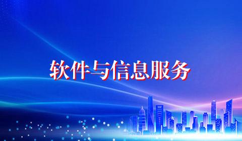 软件与信息服务