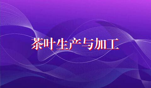 茶叶生产与加工