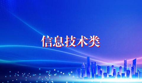 信息技术类
