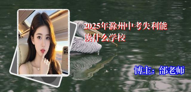 2025年滁州中考失利能读什么学校