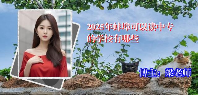 2025年蚌埠可以读中专的学校有哪些