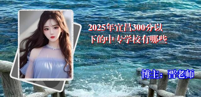2025年宜昌300分以下的中专学校有哪些