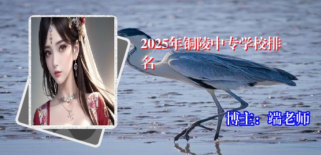 2025年铜陵中专学校排名