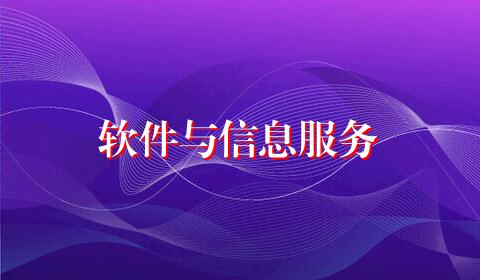 软件与信息服务