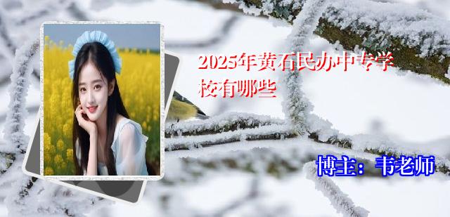 2025年黄石民办中专学校有哪些