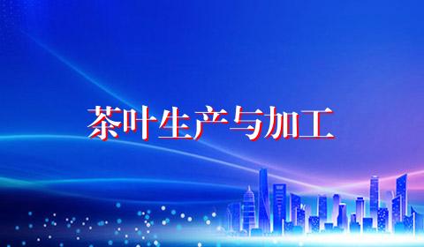 茶叶生产与加工