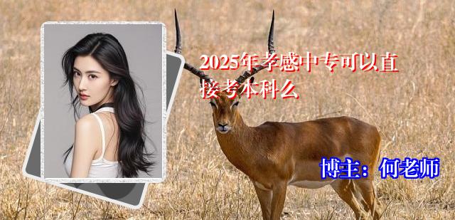 2025年孝感中专可以直接考本科么