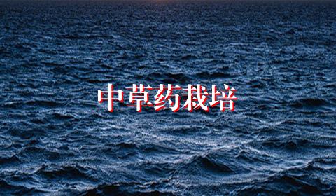 中草药栽培