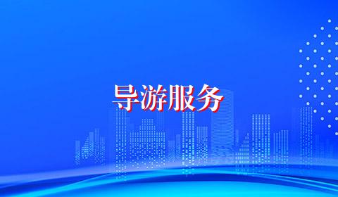 导游服务