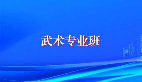 武术专业班