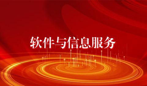 软件与信息服务