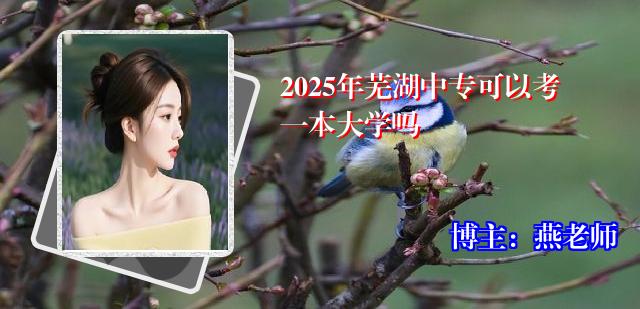 2025年芜湖中专可以考一本大学吗