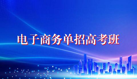 电子商务单招高考班