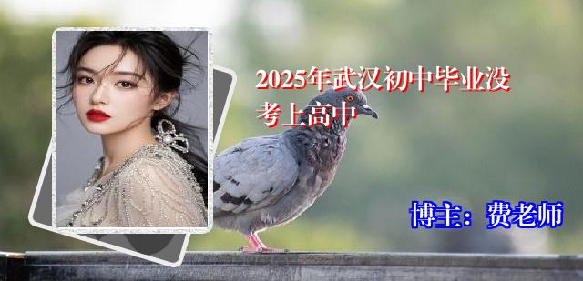 2025年武汉初中毕业没考上高中