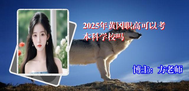 2025年黄冈职高可以考本科学校吗