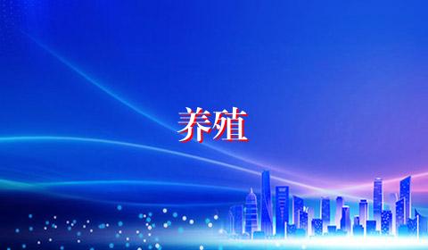 养殖