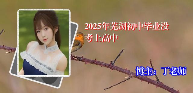 2025年芜湖初中毕业没考上高中