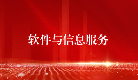 软件与信息服务