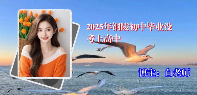 2025年铜陵初中毕业没考上高中