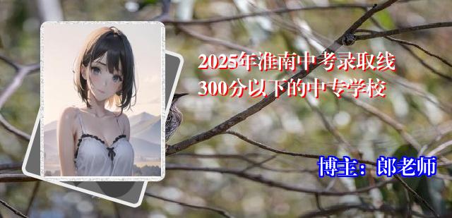 2025年淮南中考录取线300分以下的中专学校