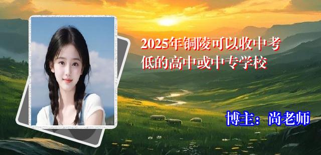 2025年铜陵可以收中考低的高中或中专学校