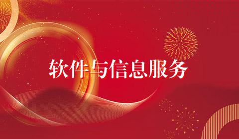 软件与信息服务