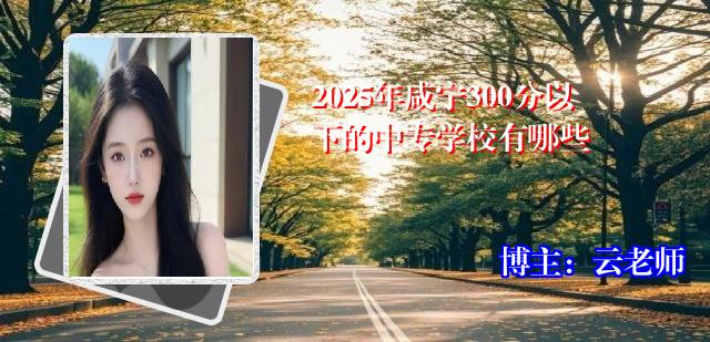 2025年咸宁300分以下的中专学校有哪些