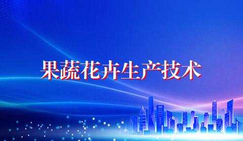 果蔬花卉生产技术