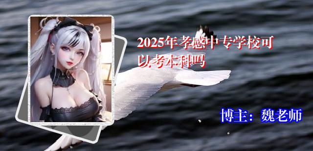 2025年孝感中专学校可以考本科吗