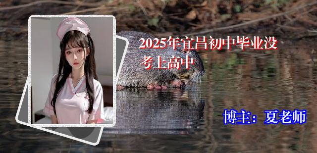 2025年宜昌初中毕业没考上高中