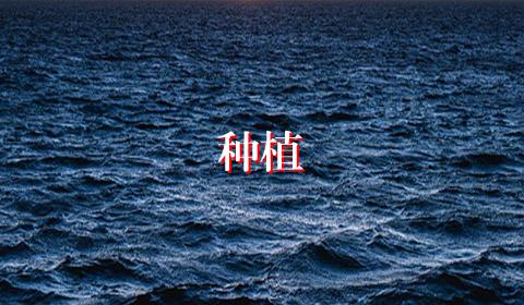 种植