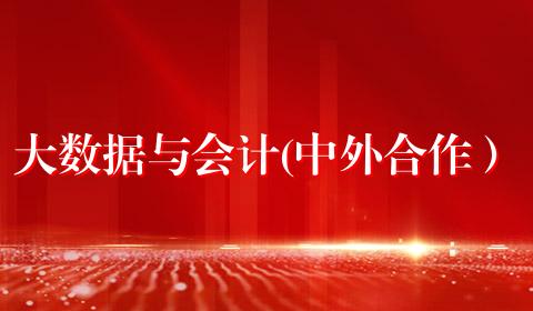 大数据与会计(中外合作）