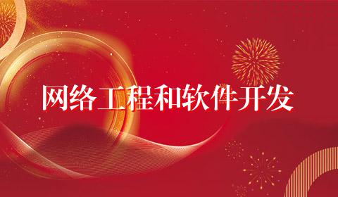 网络工程和软件开发
