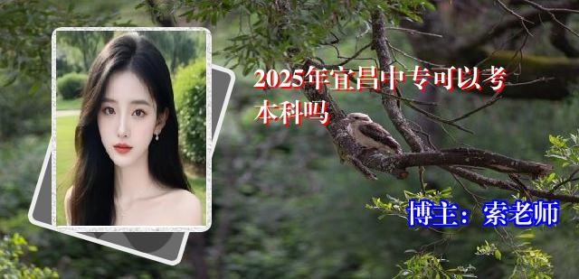 2025年宜昌中专可以考本科吗