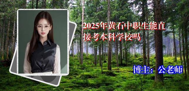 2025年黄石中职生能直接考本科学校吗
