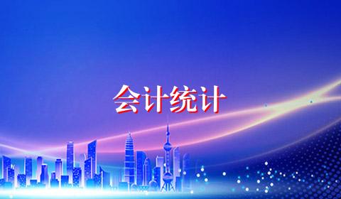 会计统计