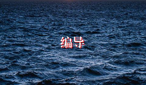 编导