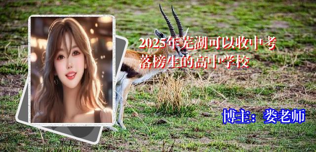 2025年芜湖可以收中考落榜生的高中学校
