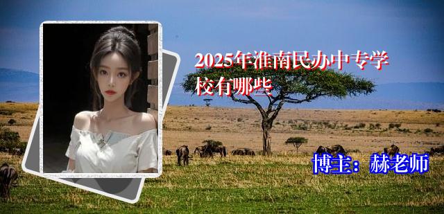 2025年淮南民办中专学校有哪些