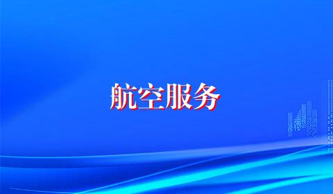 航空服务