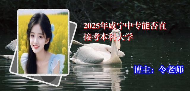2025年咸宁中专能否直接考本科大学