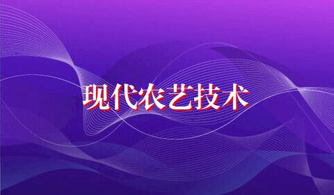 现代农艺技术