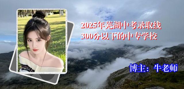 2025年芜湖中考录取线300分以下的中专学校