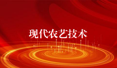 现代农艺技术